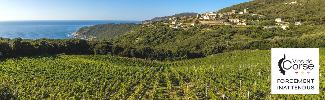 Corse
